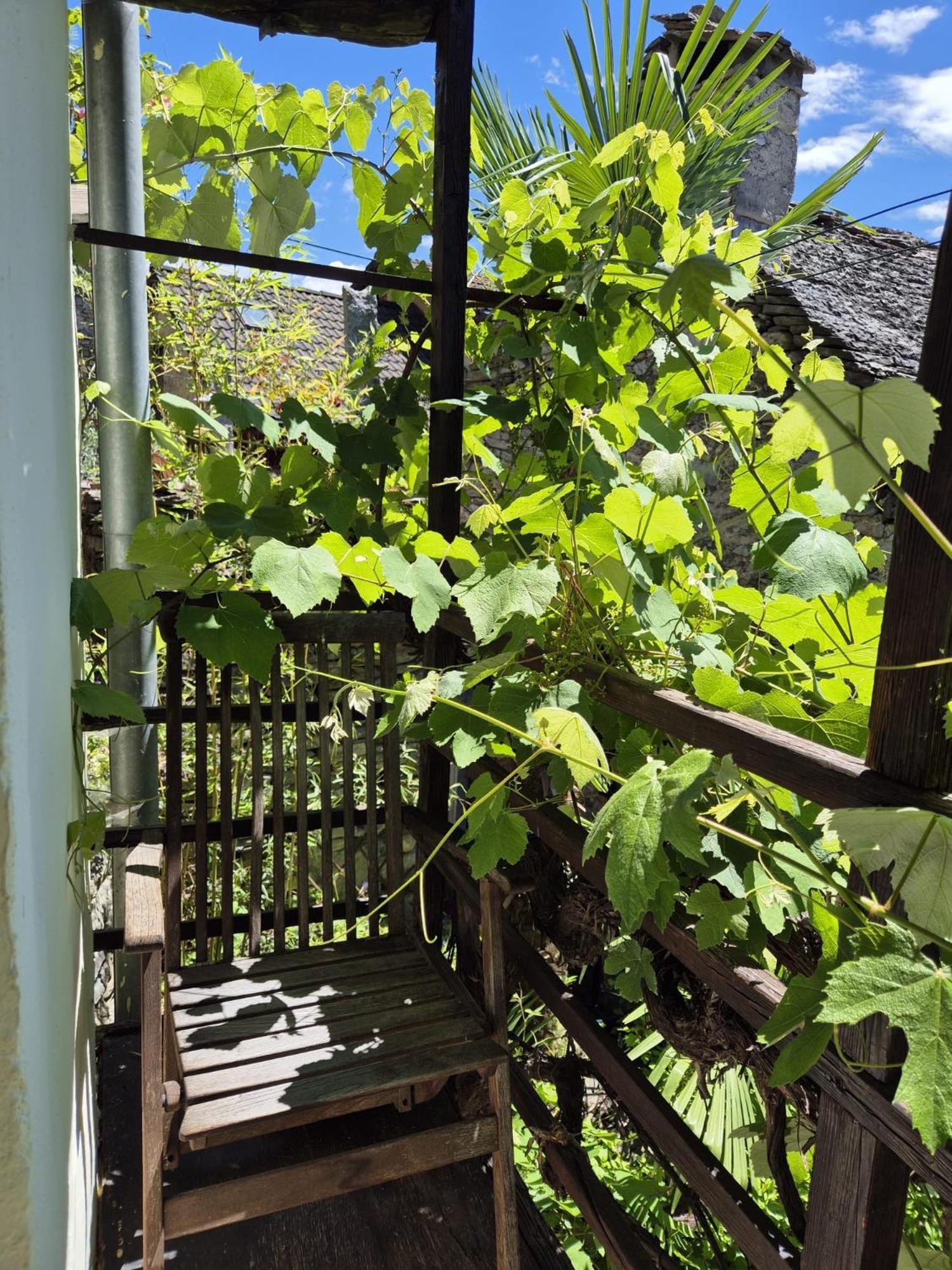 Casa Grillino Apartment Locarno Bilik gambar