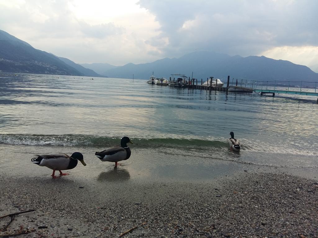 Casa Grillino Apartment Locarno Luaran gambar